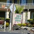 Photo of Muir Woods Lodge