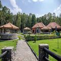 Image of Musanze Caves Hotel