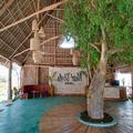 Exterior of NEST STYLE BEACH HOTEL ZANZIBAR