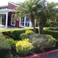 Exterior of Oasis Inn Sacramento - Elk Grove