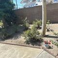 Photo of Oceanview Motel - Huntington Beach