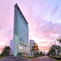 Image of Olive Tree Hotel
