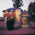 Photo of O'reilly's Rainforest Retreat