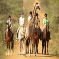 Image of Pakamisa Private Game Reserve