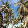 Image of Palm Beach Resort & Spa