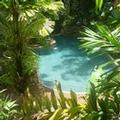 Image of Palm Cove Tropic Apartments