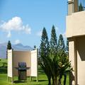 Photo of Paniolo Greens at Waikoloa