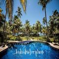Photo of Paradise Sun