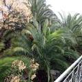 Photo of Parnassos Delphi Hotel