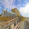 Photo of Peppertree By The Sea