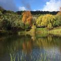 Photo of Picardie Guest Farm