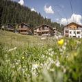Exterior of Priva Alpine Lodge Lenzerheide