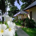 Photo of Promtsuk Buri Resort