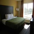 Photo of Quality Inn Holland - Toledo
