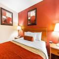 Image of Quality Inn Seaman
