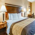 Image of Quality Inn & Suites Mount Pleasant