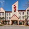 Image of Red Roof Inn & Suites Pensacola East - Milton