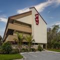 Image of Red Roof Inn Tampa - Brandon