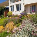 Photo of Restio Garden Studio