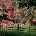 Photo of Riverside Hot Springs Inn & Spa - Adults Only