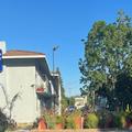 Image of Rodeway Inn