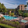 Image of Rosen Inn International