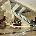 Image of Royal Pedregal Hotel
