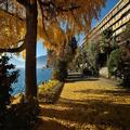 Photo of Royal Plaza Montreux