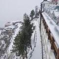 Exterior of Royal Tulip Shimla - Kufri