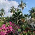 Image of Saigon Domaine Luxury Residences