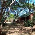 Image of Sand Forest Lodge