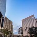 Image of Sandton Sun & Towers