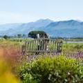 Photo of Sante Wellness Retreat & Spa