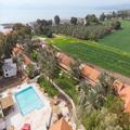 Image of Selina Kinneret