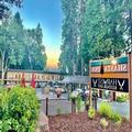 Image of Shasta Inn