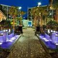 Photo of Sheraton Orlando Lake Buena Vista Resort - NEWLY RENOVATED!