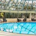 Image of Sheraton Toronto Airport Hotel & Conference Centre