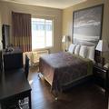 Image of Skyways Hotel