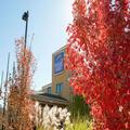 Photo of Sleep Inn Asheville - Biltmore West