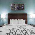 Photo of Sleep Inn & Suites Washington Near Peoria