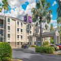 Photo of Sleep Inn near Busch Gardens/USF