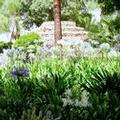 Image of Son Julia Country House & Spa