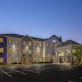 Image of Spark by Hilton Ames