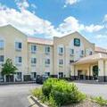 Image of Spark by Hilton La Grange