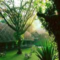 Photo of Spice Village - Cgh Earth