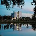 Photo of Springhill Suites Marriott Tampa Suncoast Parkway