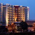 Image of St. Petersburg Marriott Clearwater