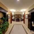 Image of Staybridge Suites Ann Arbor- Univ of Michigan by IHG
