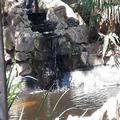 Image of Sugarbird Guesthouse