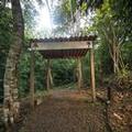 Image of Summit Rainforest Golf Resort & All Inclusive